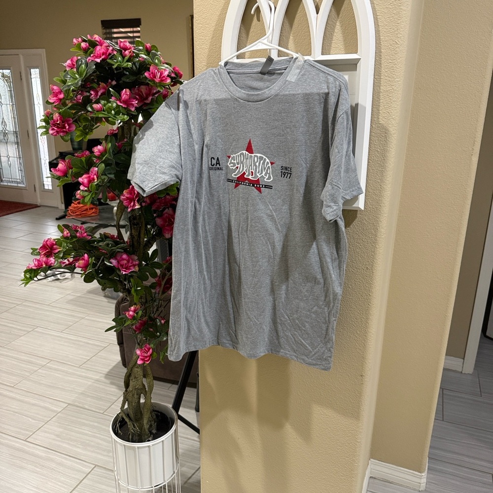 Gray Graphic T-Shirt- Brand New